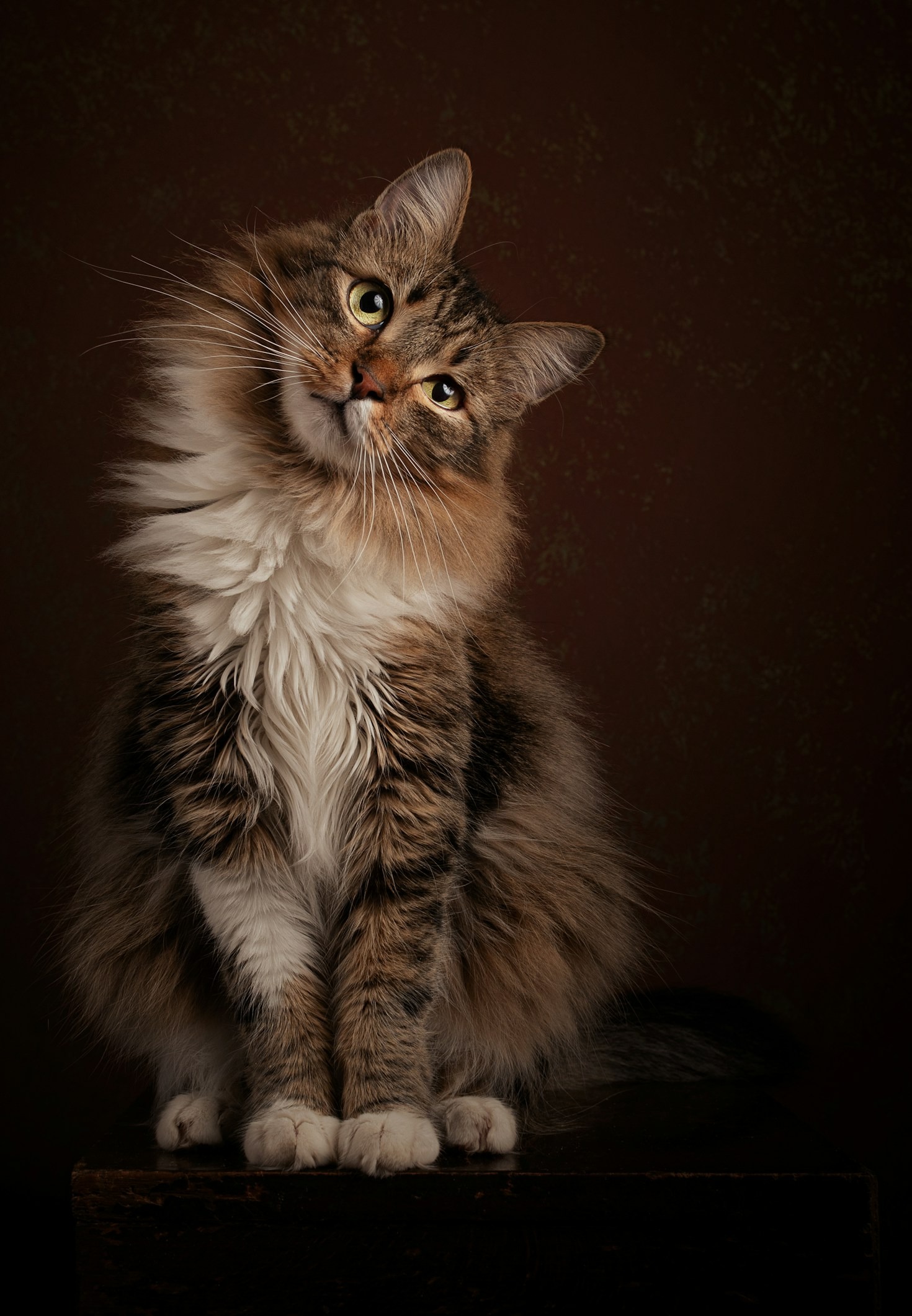 Kreatywne sposoby na uwiecznianie wspomnień z czworonogami